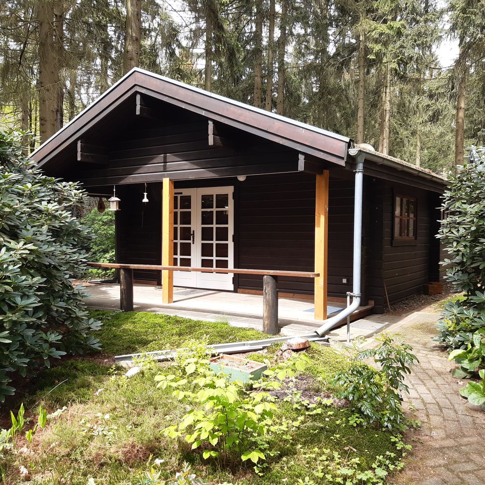 Ferienhaus / Wochenendhaus Blockbohlenhaus im Waldgebiet in Bremervörde