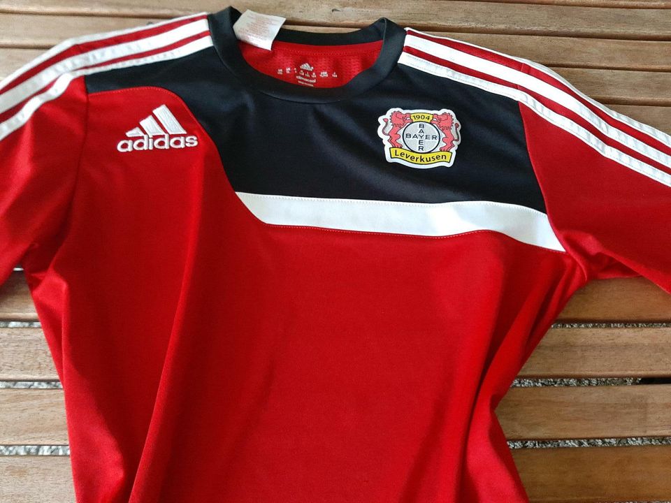 Gr 164 Trainingsshirt Bayer Leverkusen Werkself T-Shirt in Bad Vilbel