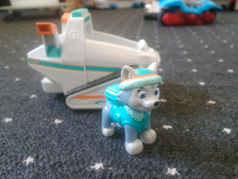 Everest Paw Patrol in Ratzeburg