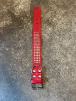 Breites Hunde Halsband  Lederhalsband Rot Flachnieten Nordrhein-Westfalen - Laer Vorschau