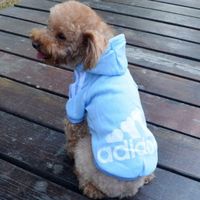 ❤️Sehr süß❤️ADIDOG Hundekleidung warmer Hoodie❤️Gr.S❤️NEU/OVP❤️ Berlin - Rudow Vorschau