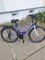 Damenfahrrad 26 Zoll Mecklenburg-Vorpommern - Neubrandenburg Vorschau