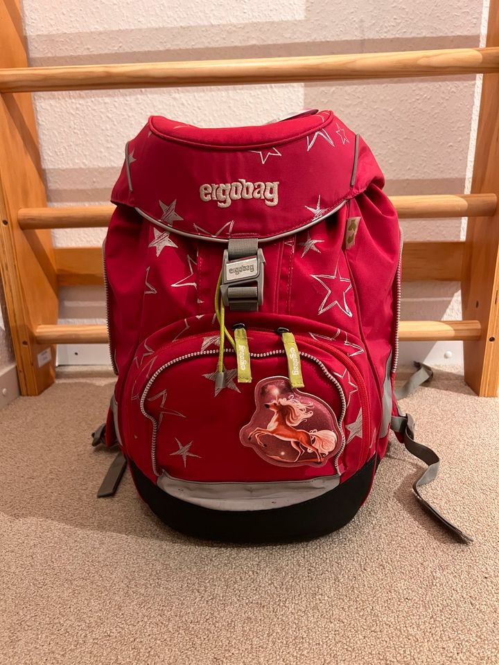 Ergobag Schulrucksack Set SternzauBär pink in Vorwerk bei Tarmstedt