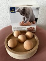 Katzen Spielzeug Sachsen-Anhalt - Halle Vorschau