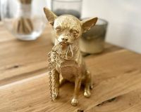 Dekofigur Hundefigur Chihuahua Hund Deko gold Hundedeko Duisburg - Walsum Vorschau