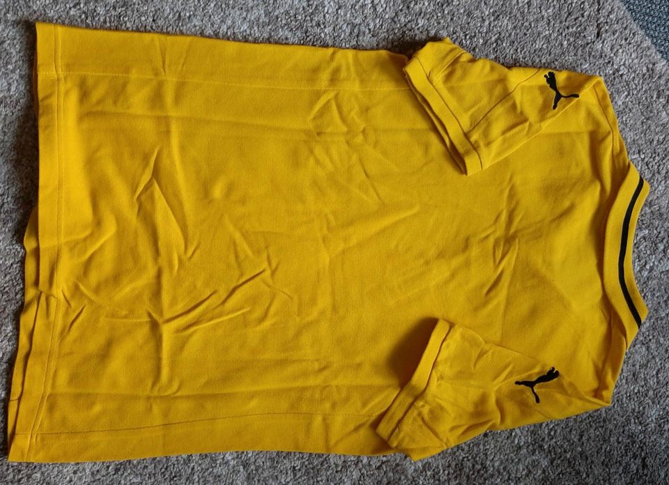 BVB Trikot, Shirt, Fußballshirt, Poloshirt in Oderin