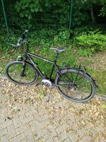 E-Bike Trekking ROSE Extra-Watt 3 / 21'' Zoll Herrenrad Nordrhein-Westfalen - Gelsenkirchen Vorschau