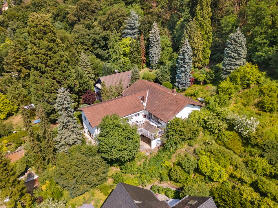 Traumhafte Villa mit unvergleichlichem Panorama über die Rheinebene in Seeheim-Jugenheim