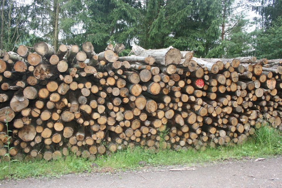 Laubholz Brennholz Kaminholz Stammholz Raum Schleiz in Schleiz