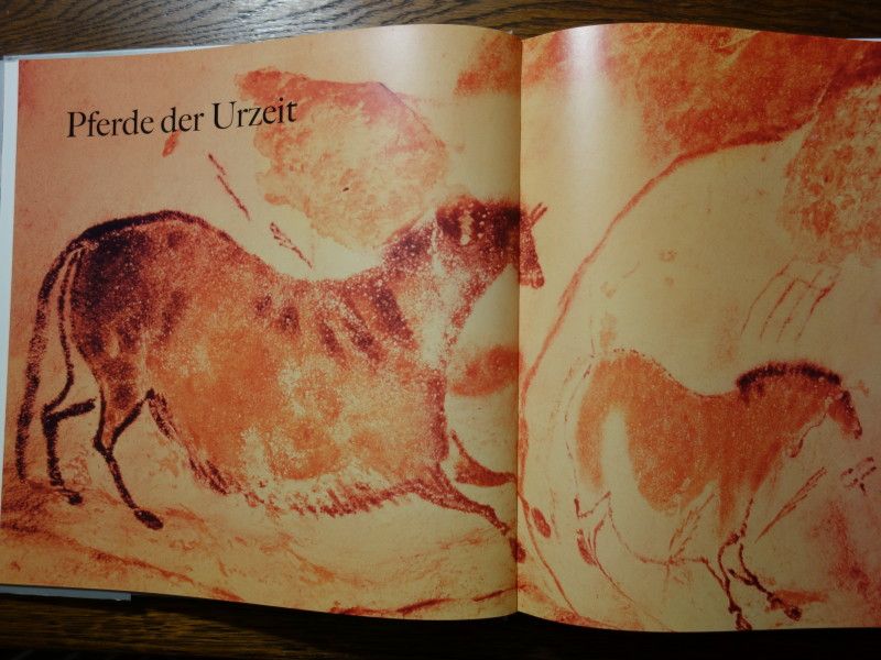 Das Pferd, 30000Jahre in der Kunst, von Tamsin Pickeral in Rümmingen