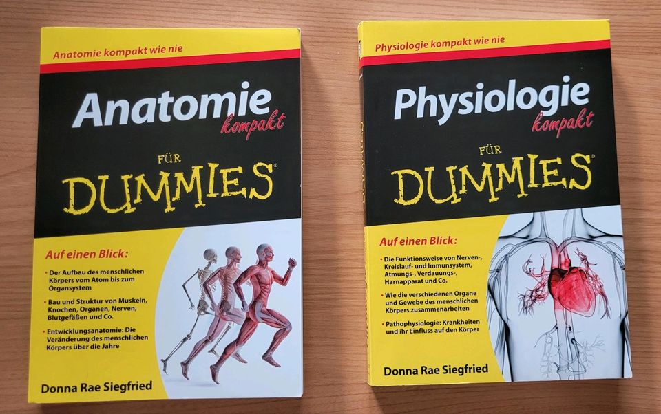 Anatomie und Physiologie für Dummies kompakt in Würzburg