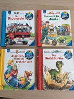 Wieso Weshalb Warum Bücher * Feuerwehr * Dino * Bauer Rheinland-Pfalz - Weitefeld Vorschau