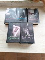 House of Night Bücher Nordrhein-Westfalen - Gelsenkirchen Vorschau