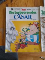 Asterix und Donald Duck Comics Bayern - Dorfen Vorschau