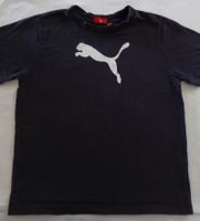 Puma Shirt Sachsen - Reinsdorf Vorschau