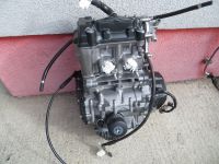 Motor Honda CBR250RR Engine Bayern - Tittmoning Vorschau