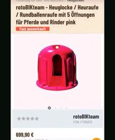 Heuglocke pink Nordrhein-Westfalen - Velbert Vorschau