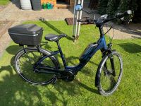 Preis reduziert: Ebike Falter 9.0 Active Line Plus - 26er Rahmen Hessen - Heringen (Werra) Vorschau