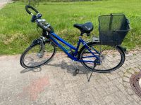 Damen Fahrrad 28 Zoll Niedersachsen - Hohnhorst Vorschau