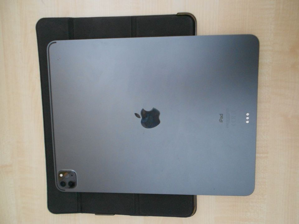 IPad 12,9 Zoll, 256 GB, WiFi, Spacegrau 4 Generation und Applepen in Soest