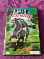 DVD Black Beauty Pferde Sachsen-Anhalt - Lutherstadt Wittenberg Vorschau