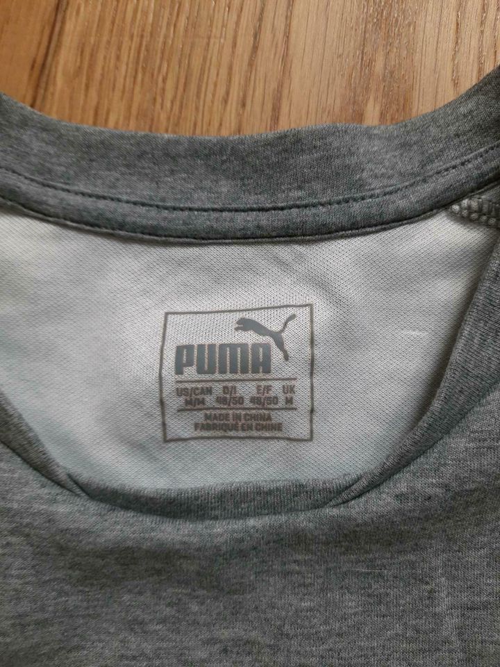 Puma T-Shirt in Pentling