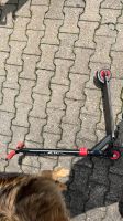 Stark benutzter stunt Scooter Bayern - Senden Vorschau
