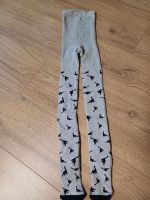 Neu Frottee Strumpfhose 110/116 Dino Dinosaurier Elberfeld - Elberfeld-West Vorschau