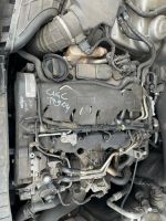 VW AUDI CAG CAGC 2.0 TDI MOTOR KOMPLETT 179TKM GARANTIE MIT VIDEO Nordrhein-Westfalen - Bergkamen Vorschau