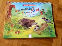Kinderbuch: Was macht der Igel im August? Schauen und Lernen Köln - Junkersdorf Vorschau