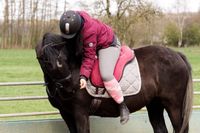 Pflegebeteiligung/Reitbeteiligung auf 1,48m Reitponystute Niedersachsen - Himmelpforten Vorschau