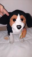 Folkmanis Puppets Beagle ■ Neu ■ mit Etiketten Handpuppe Bauchred Nordrhein-Westfalen - Nordkirchen Vorschau