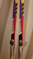 Fischer RCS Skating Ski mit Salomon SNS Bindung 195 cm Rheinland-Pfalz - Weitefeld Vorschau