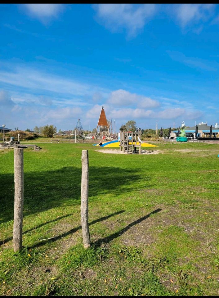 Chalet für 6 Personen in Lauwersoog in Arnsberg