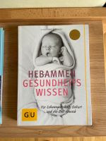 Buch für Schwangerschaft Stillzeit usw. Hebammengesundheitswissen Baden-Württemberg - Mannheim Vorschau