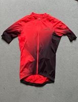 GOREWEAR Fade Jersey Herren Dresden - Südvorstadt-Ost Vorschau
