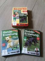DVD Hunde Erziehung Rheinland-Pfalz - Oberpierscheid Vorschau