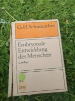 Embryonalen Entwicklung des Menschen Thüringen - Erfurt Vorschau