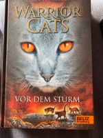 Warrior Cats „Vor dem Sturm“ Staffel 1 , Band 4 Sachsen - Coswig Vorschau