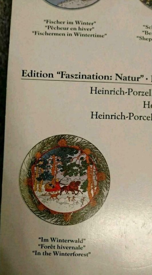 ⭐Villeroy & Boch Weihnachtsteller Faszination Natur-Im Winterwald in Hamburg