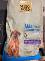 Neu Original 12kg Select Gold Maxi Junior Lamm, Lachs, Kartoffel Bayern - Coburg Vorschau