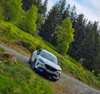 Cupra Formentor 1,5 Tsi Nordrhein-Westfalen - Bestwig Vorschau