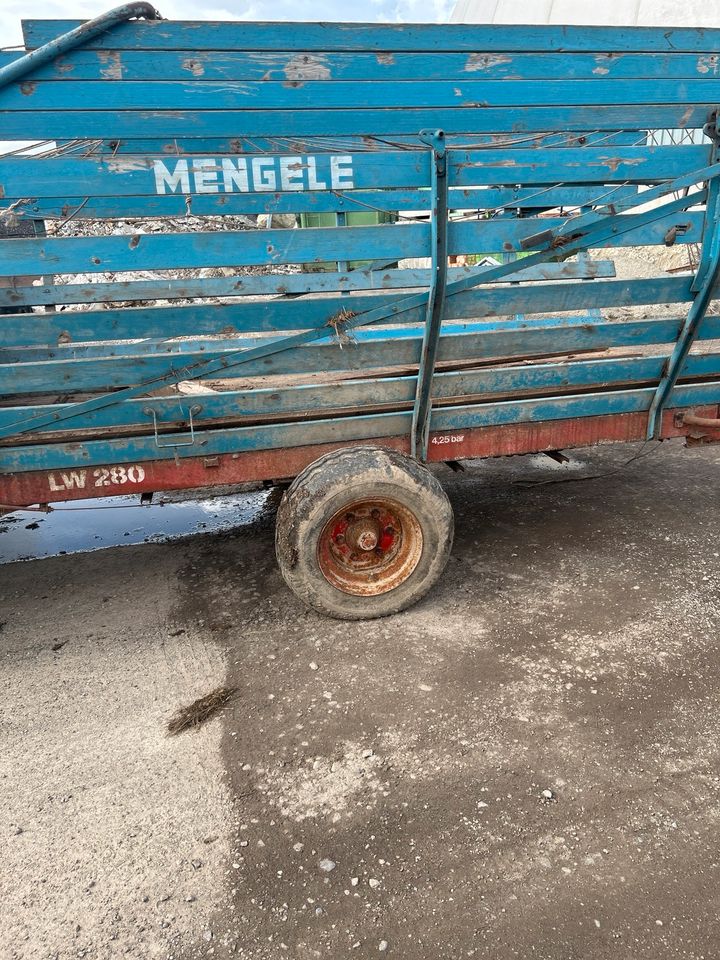 Ladewagen Mengele in Bad Wurzach