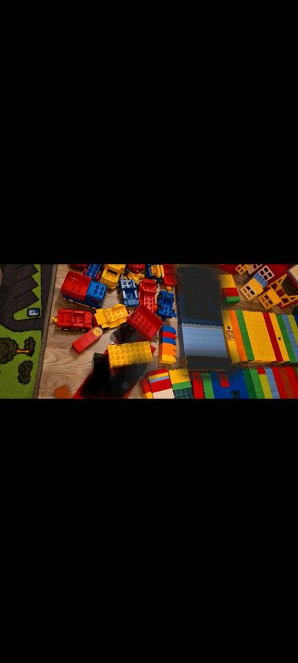 Lego Duplo XXL Paket Tiere Menschen Fahrzeuge Bauplatten Steine in Lehre