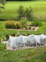 Kleingarten, Gemüsegarten, Gemüseanbau, Biogarten Baden-Württemberg - Wangen im Allgäu Vorschau