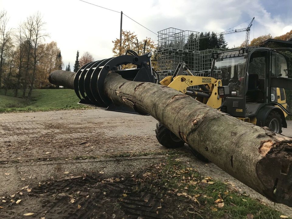 Kaminholz Brennholz Scheitholz TROCKEN in Dortmund