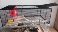 Hamsterkäfig, wird noch entleert und sauber gemacht, ohne Mängel, Sachsen-Anhalt - Halle Vorschau