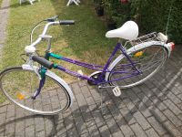 FISCHER Damenfahrrad Fahrrad 27 Zoll RH 53 cm Hessen - Gladenbach Vorschau