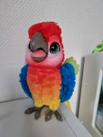 Papagei Hasbro Niedersachsen - Bad Eilsen Vorschau