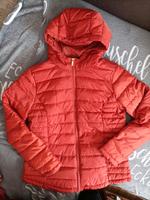 Verkaufe Steppjacke Gr. 38 Brandenburg - Cottbus Vorschau